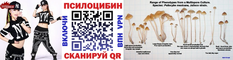 Галлюциногенные грибы мицелий  где можно купить   Терек 